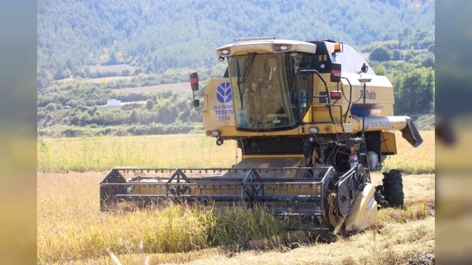 DURAĞAN’IN DA KATKISIYLA SİNOP ÇELTİK ÜRETİMİNDE TÜRKİYE’DE 6’NCI SIRADA