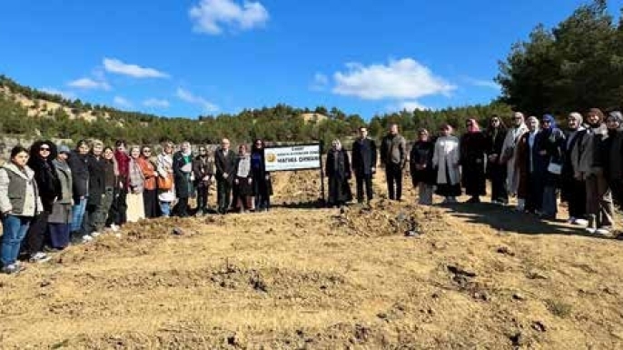 SİNOP’TA 8 MART’A ÖZEL KADIN EĞİTİMCİLER ADINA HATIRA ORMANI