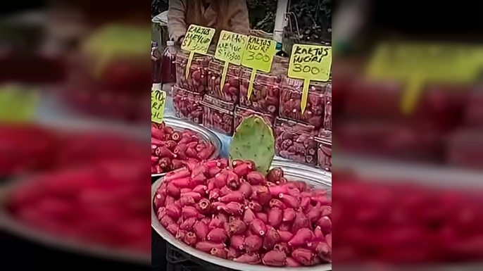 SİNOP’UN ŞİFALI YER İNCİRİ İSTANBUL’DA ALTIN DEĞERİNDE SATILIYOR