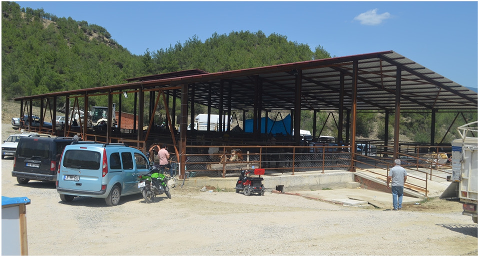 DURAĞANDAKİ HAYVAN BESİCİLERİ HÜKÜMETE SESLENDİ 
